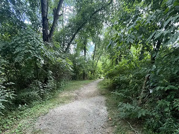 Creekside